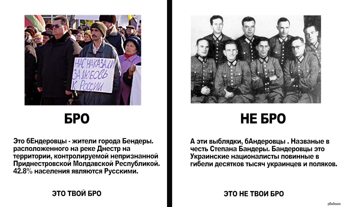 Почему Поляки Ненавидят Русских История Кратко И Понятно