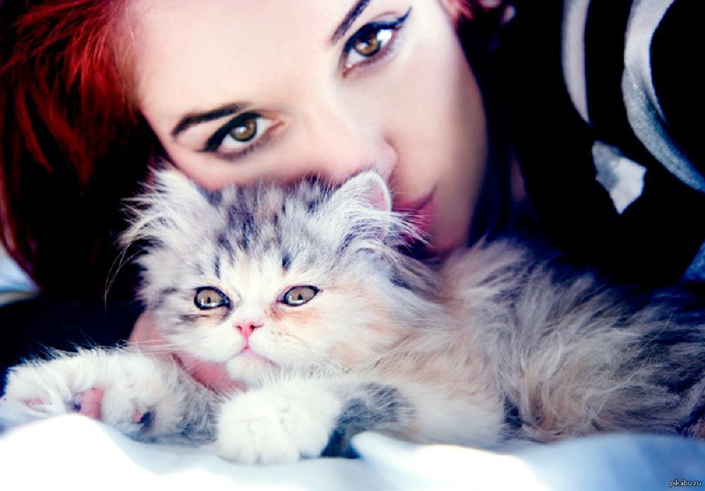Картинка девушка с кошкой. Красивая девушка с кошкой. Фотосессия котят. Красивая девушка с котенком. Женщина с котенком.