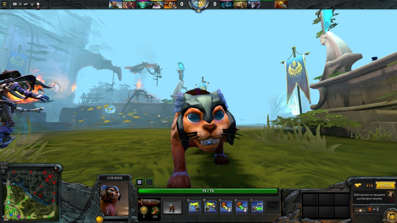 Dota cat фото