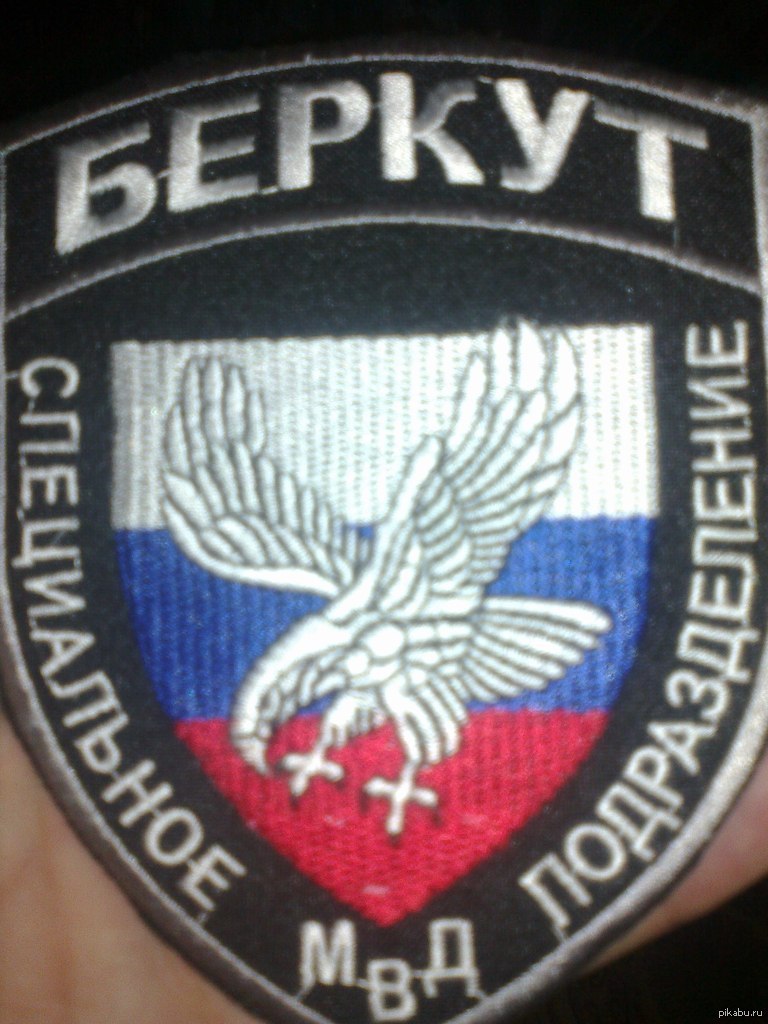 Где находится беркут. Где находится беркут. Беркут эмблема. Где находится беркут. Где находится беркут.