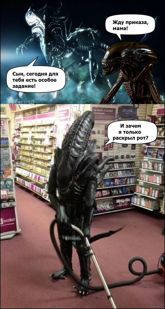 Ждем указаний