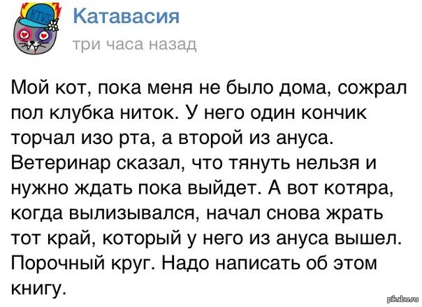 Смешные новости текст. Катавасия. Катавасия газета. Катавасия песня текст.