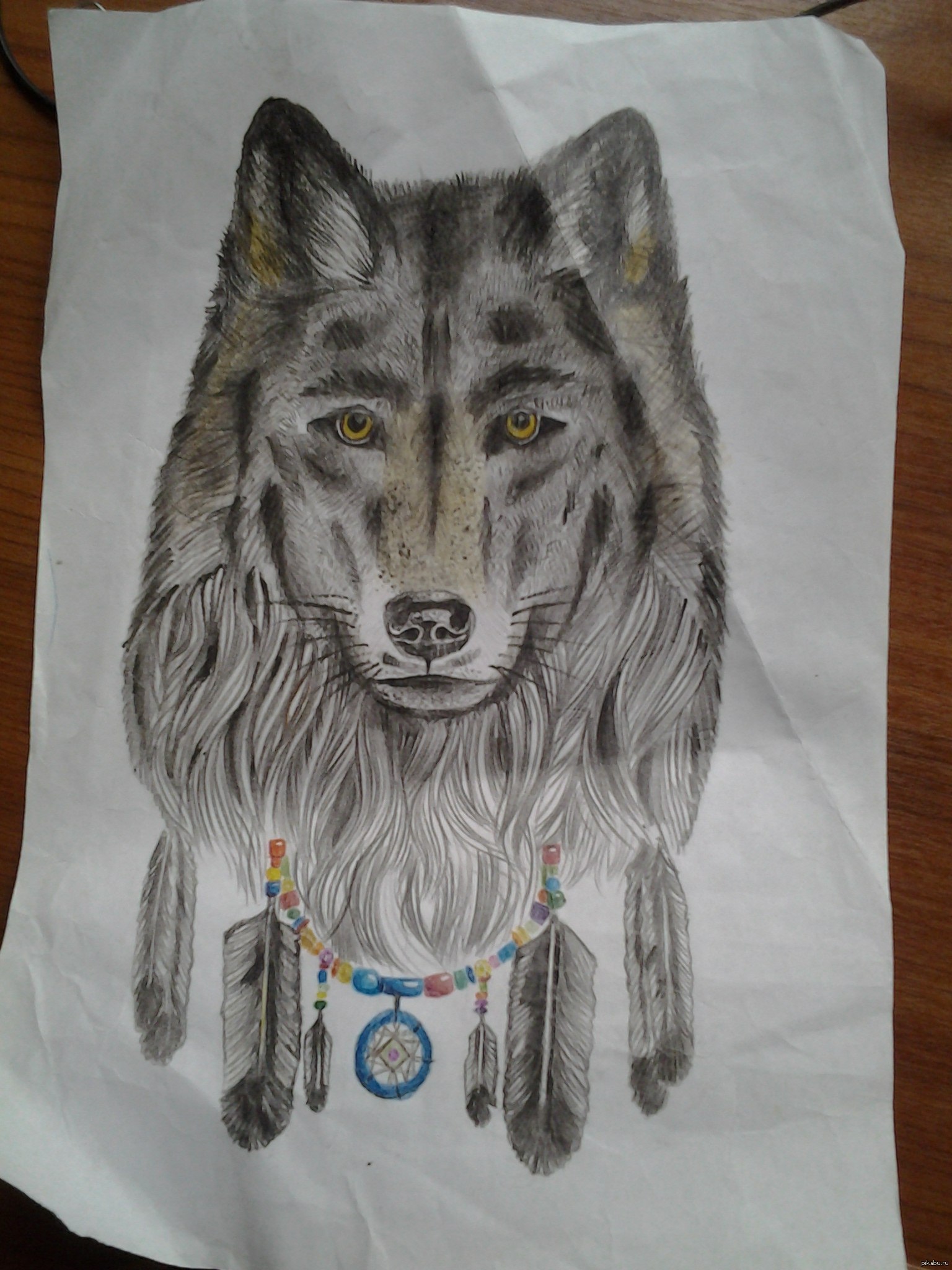Волк с ошейником карандашом
