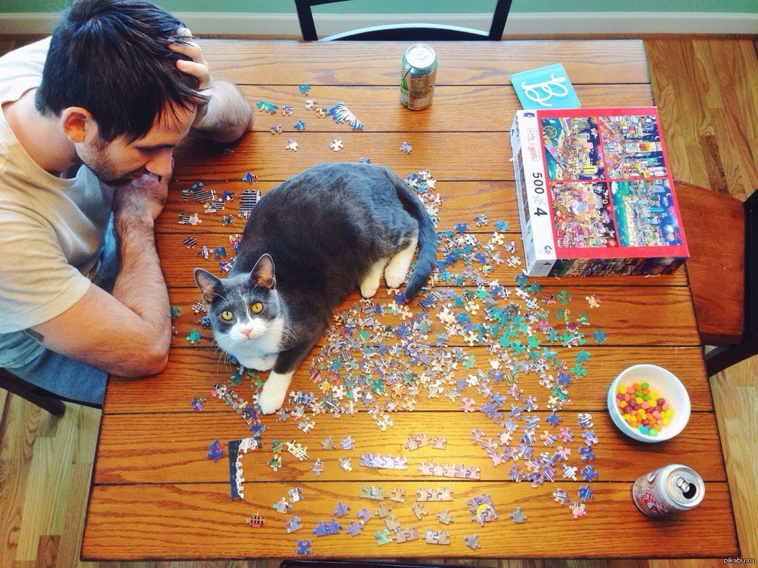 Нашкодивший кот. Пазл кот. Смешные пазлы. Пазл кот. Паззлы кот.