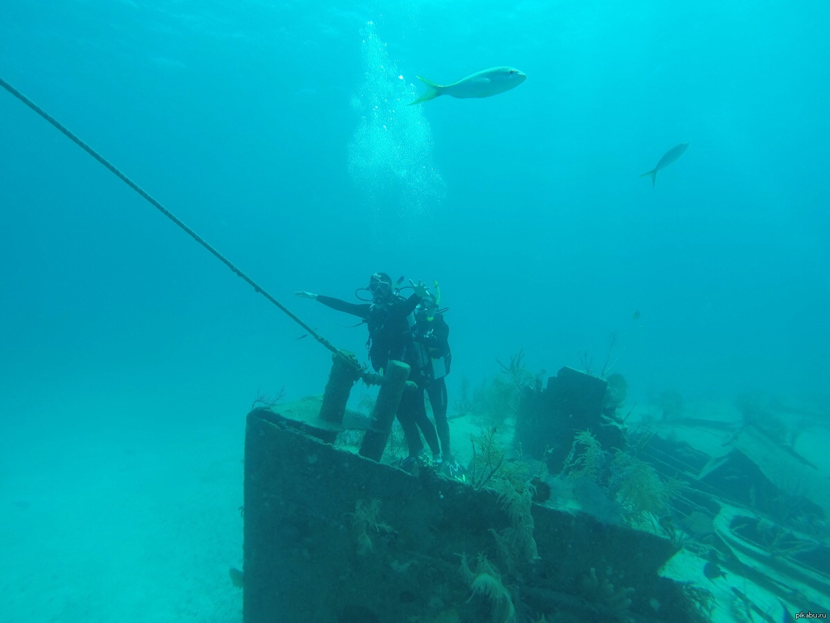 Время погружения. Дайвинг Титаник. Sinking Sinking Diving Diving. Затонул корабль Буль Буль Буль-фото приколы. Died while Diving.