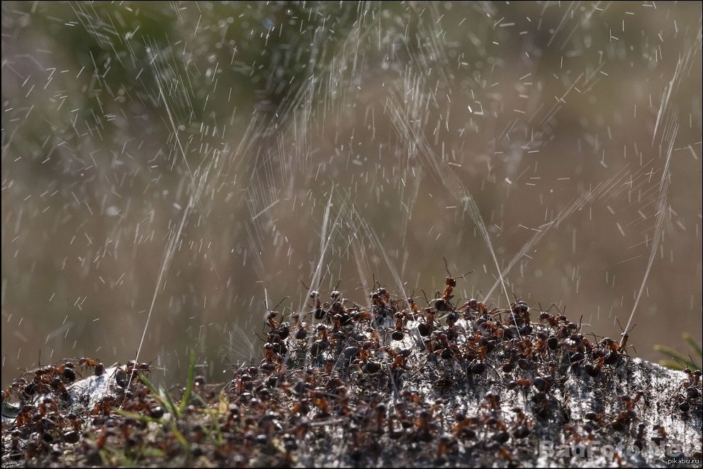 Spitting Rain