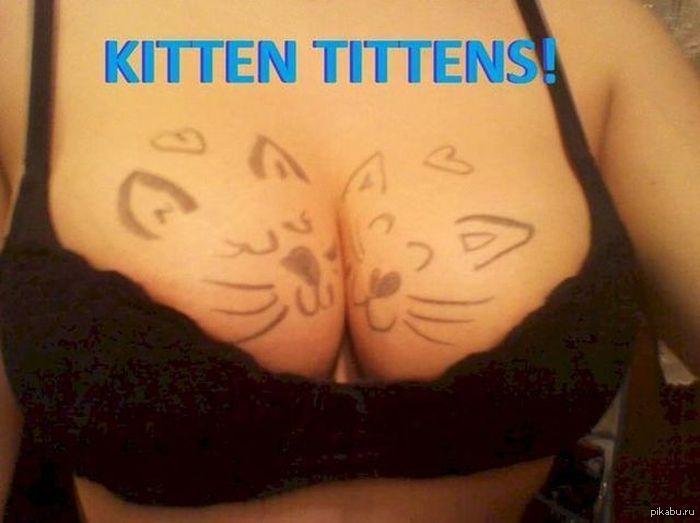 Some people love cats. Someone boobs. But there is a compromise - NSFW, cats and boobs, cat