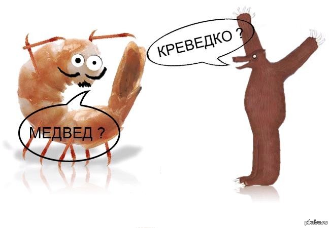 Креведко. Медвед креведко. Йа креведко превед медвед. Креведко Мем. Мем йа Криветко.