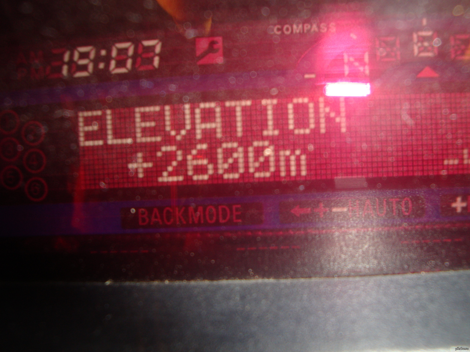 Высота птичьего полета. | Пикабу