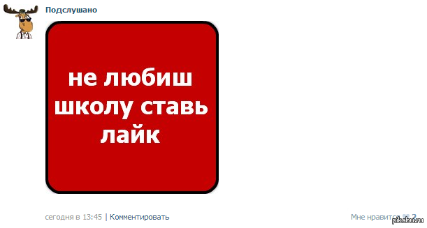 Поставь сегодня. Сейчас лайк поставлю. Щас лайк поставлю Мем. Сейчас лайк поставлю собака. Щас лайк поставлю волк.