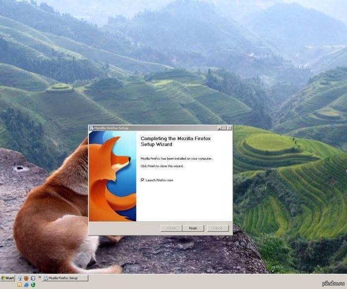 Firefox setup. Firefox мемы. Шутки про Firefox. Мазила Мем. Firefox смешные картинки.