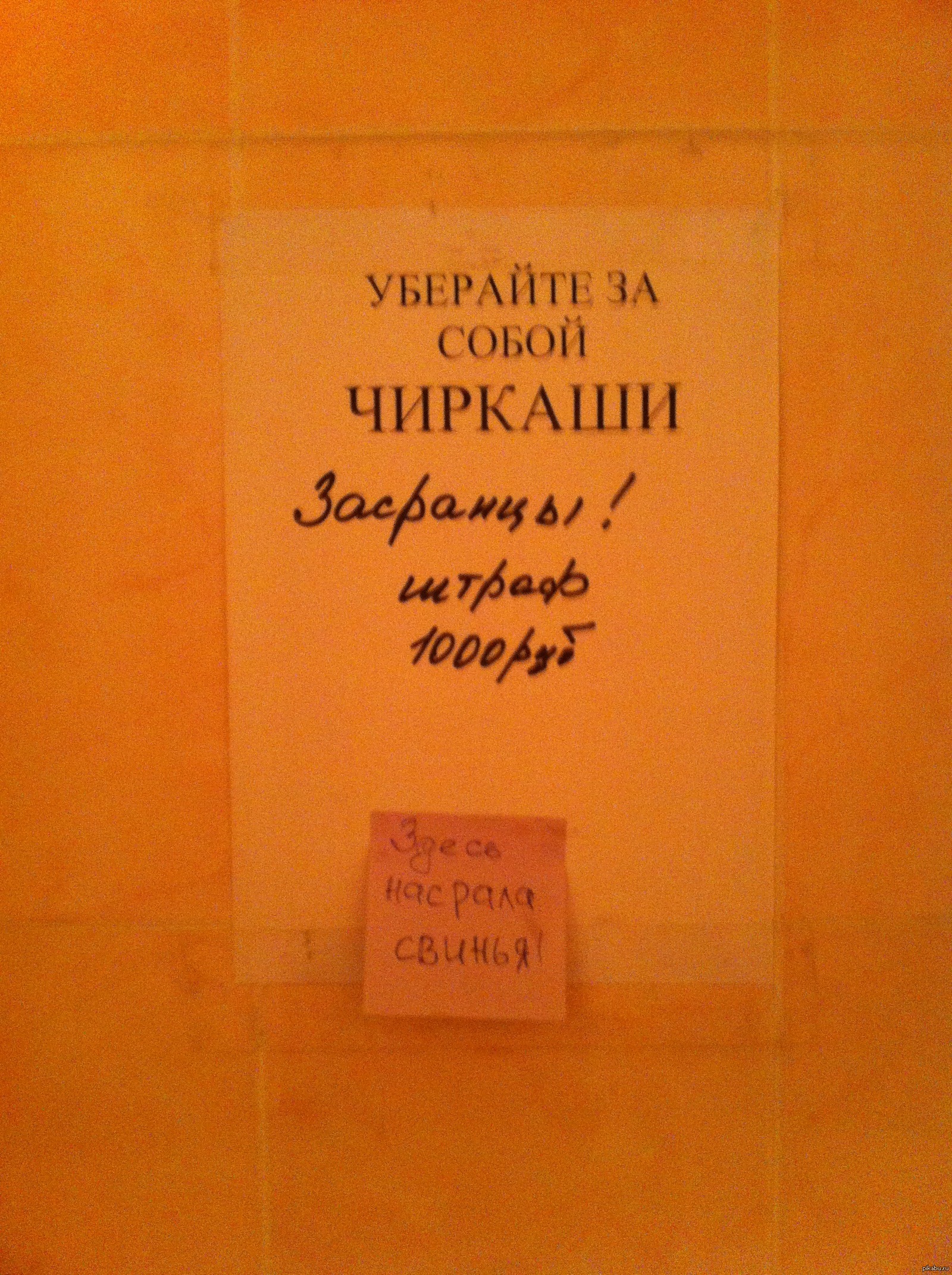 Объявление в туалете | Пикабу