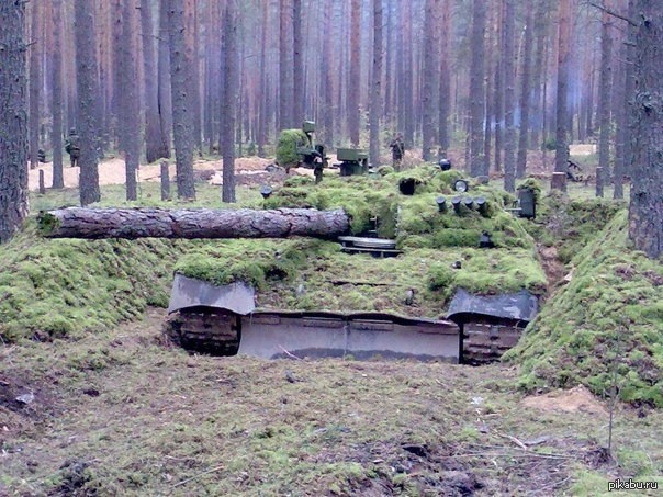 Оборудование на танк леший. Танк т-72 маскировка. Т80 танк камуфляж лес. Замаскированный танк вв2. Маскировка танка 2с1.