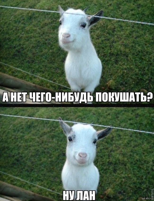Обиженный козленок