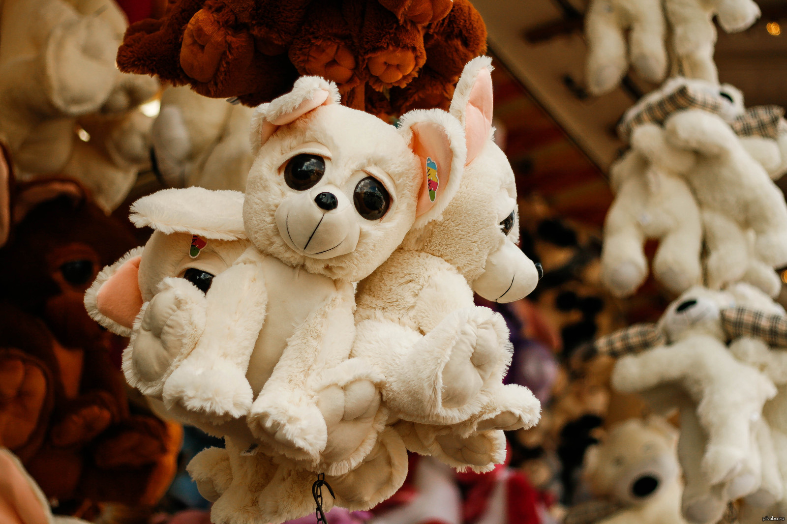 The cutest dogs at the fair in Cologne ^^ - My, Toys, Doggies, The photo