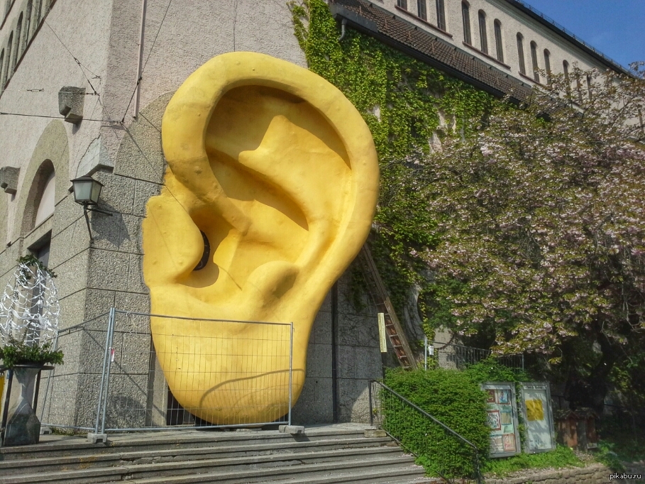 Городок уши