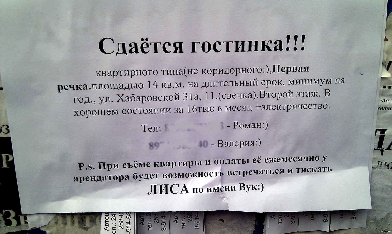 Объявления владивосток. Прикольные объявления в гостиницах. Шуточное объявление при дефиците воды в квартире. Объявление по поводу сдачи гостинки и мое объявление.