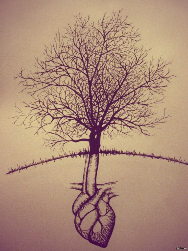 Дерево легкие города. Нарисовать дерево. Дерево для рисования. Дерево для срисовки. Рисуем необычные деревья.
