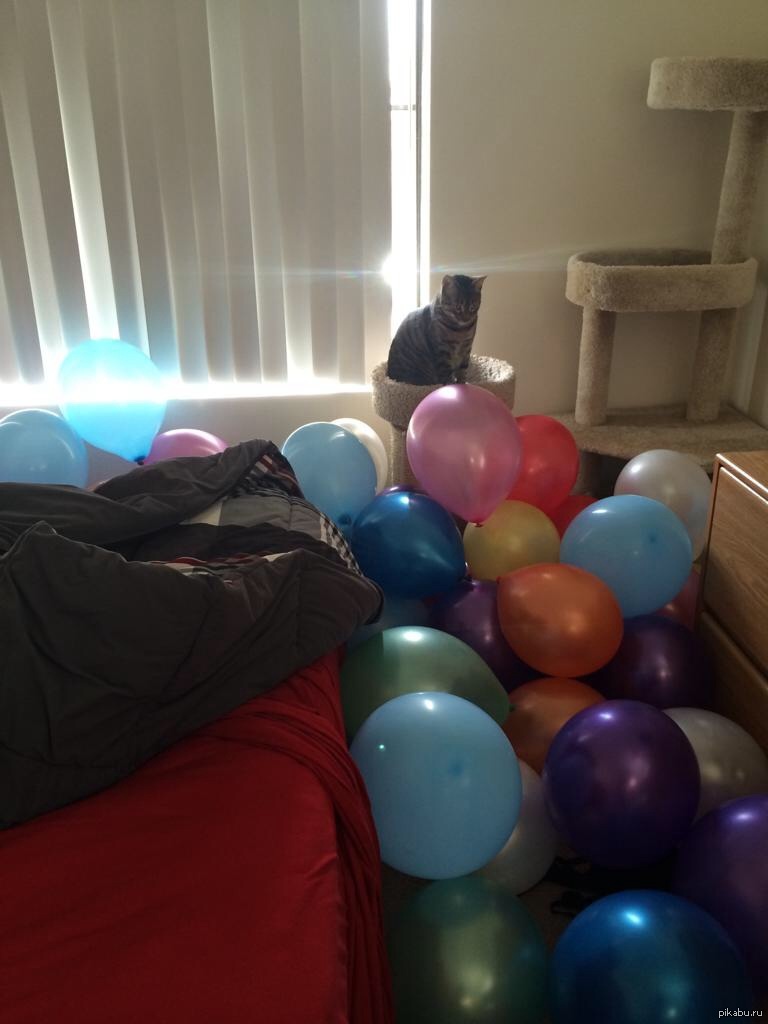 Воздушные шары на полу. Шары на полу на день рождения. Много шариков на полу. Шары на полу в комнате.