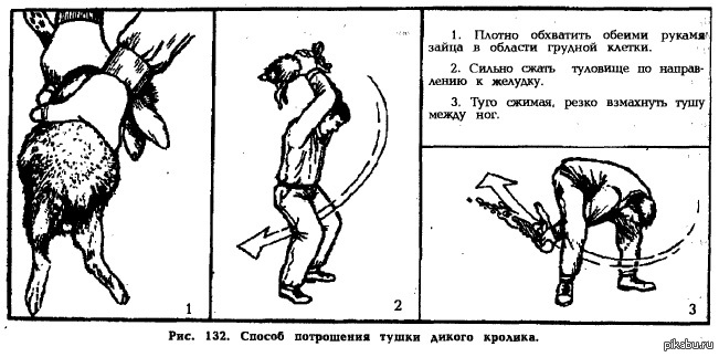 Как разделывать кролика схема