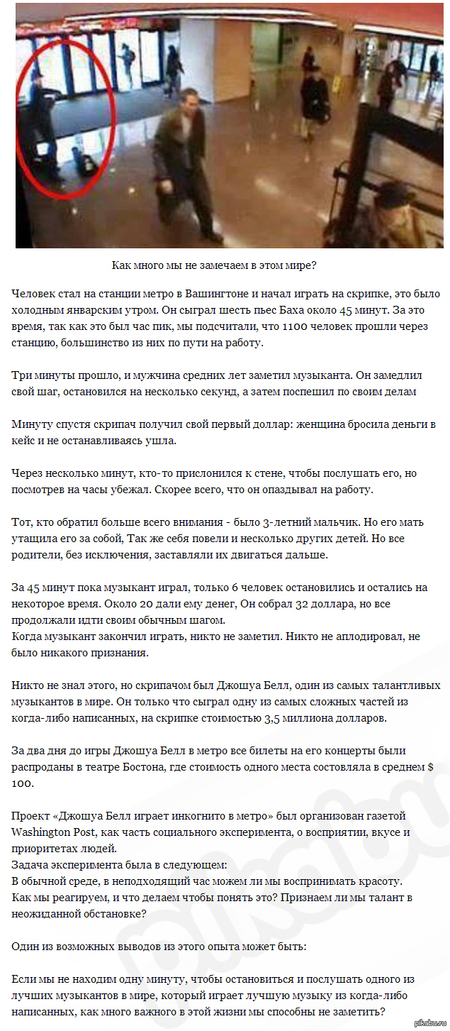 Как много мы не замечаем в этом мире? | Пикабу