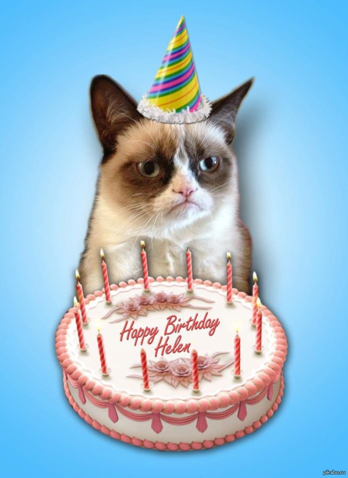 Где можно поздравить. С днем рождения кот. С днём рождения с котиками. Открытка с днём рождения торт. Коты поздравляют с днем рождения.