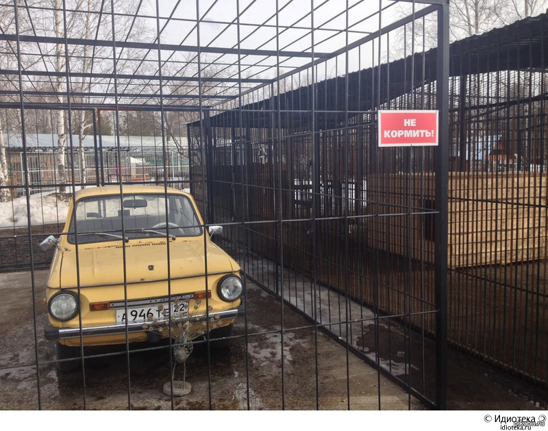 Не кормить! | Пикабу