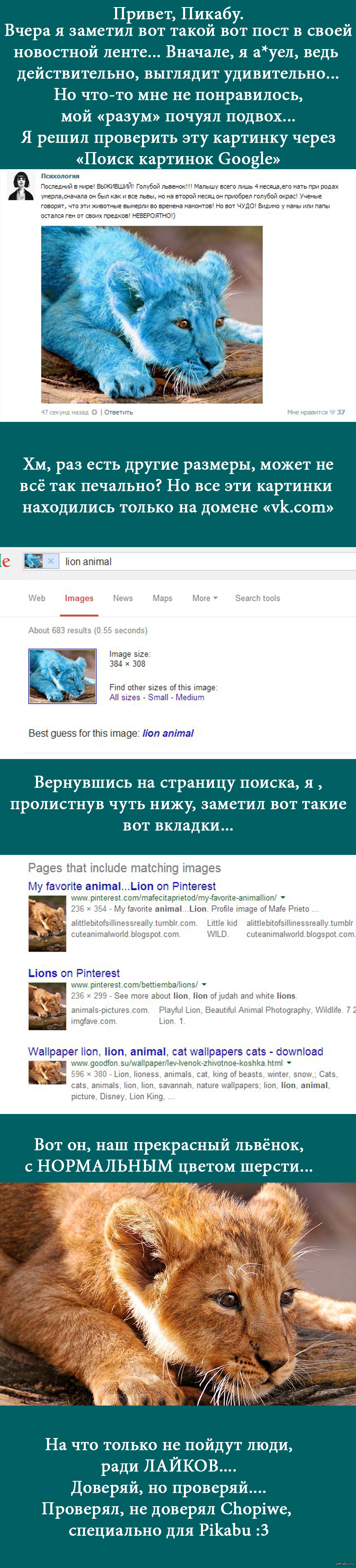 Publics in VK and their antics - In contact with, Longpost, Lion cubs, League of detectives, My, My