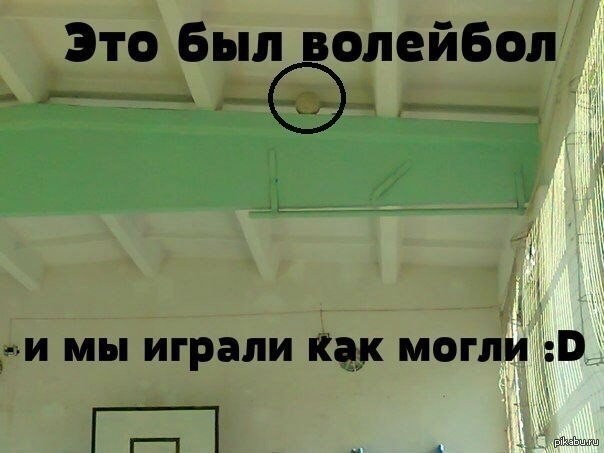 Прикольные картинки про волейбол
