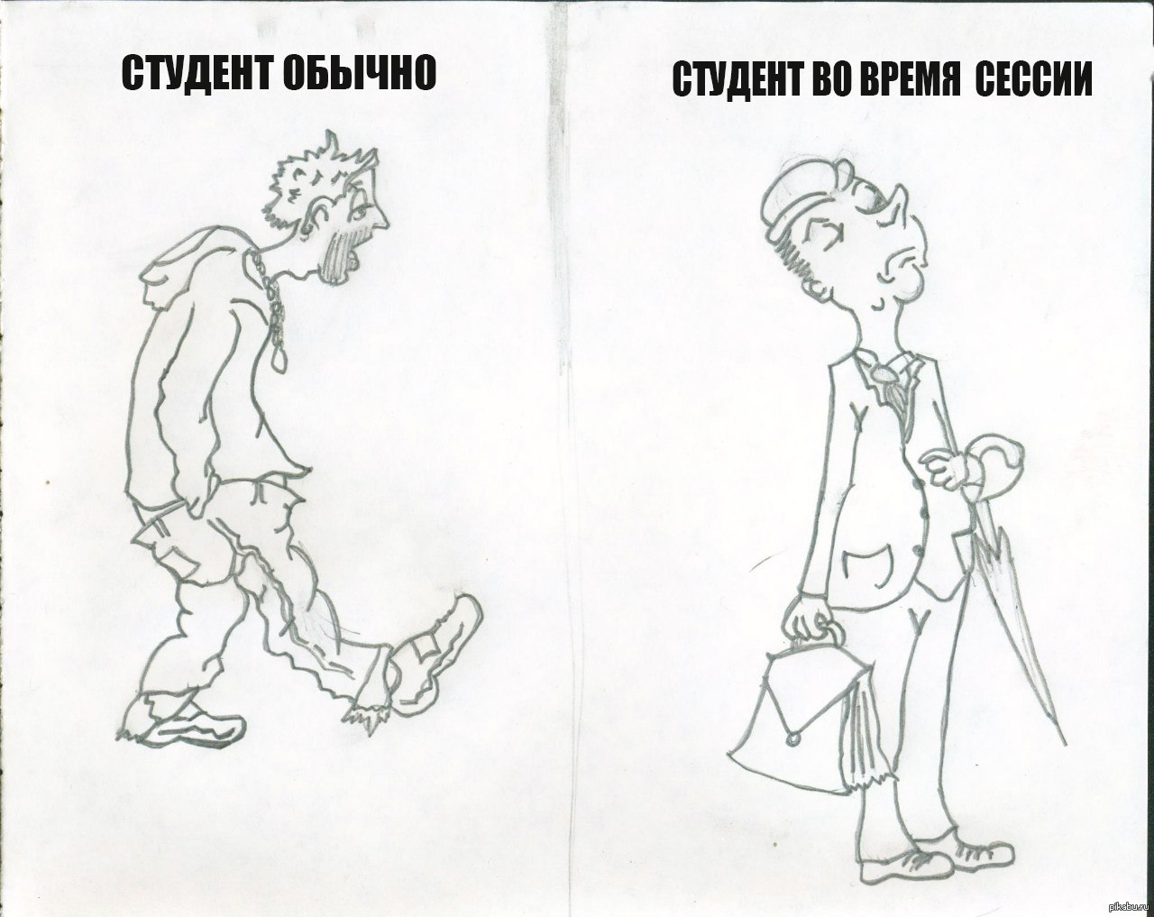 Особый случай студентов | Пикабу