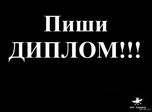 Тедди, диплом смешные картинка
