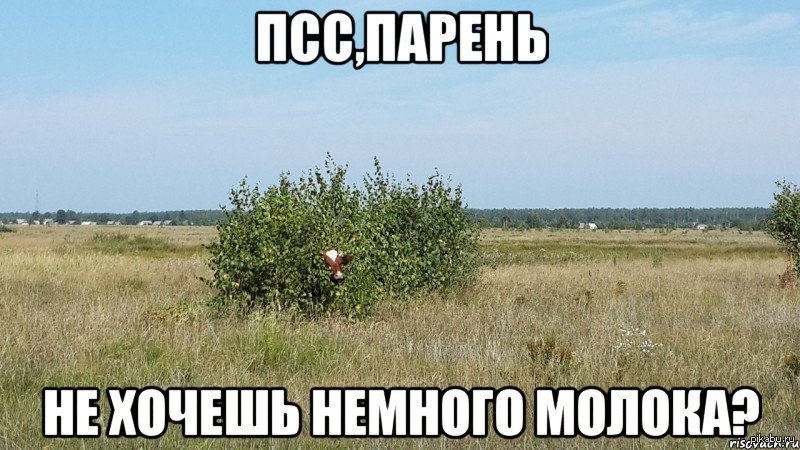 Хочу немного. Хочешь немного. ПС не хочешь немного. ПСС парень хочешь немного аниме. Не хочешь немного аниме.