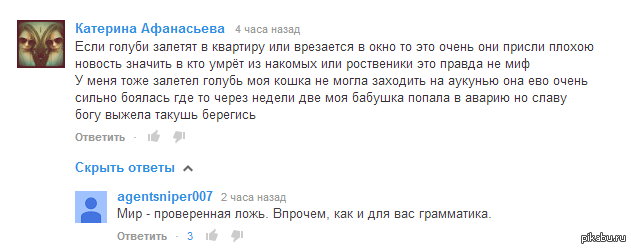 В квартиру залетела. Примета залетел голубь. Голубь залетел в квартиру. Залетел голубь в квартиру к чему это. Голубь залетел в окно примета.