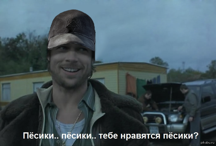 Смотрящие песики | Пикабу