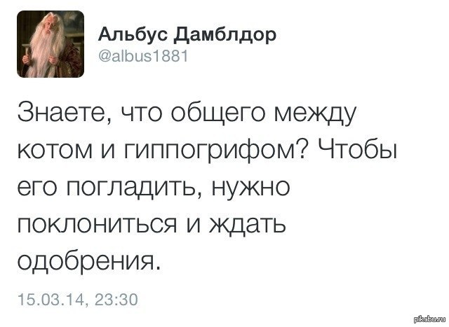 Ждем одобрения. Цитаты Альбуса Дамблдора. Умные фразы Альбуса Дамблдора. Дамблдор любовь. Цитата Дамблдора про любовь.