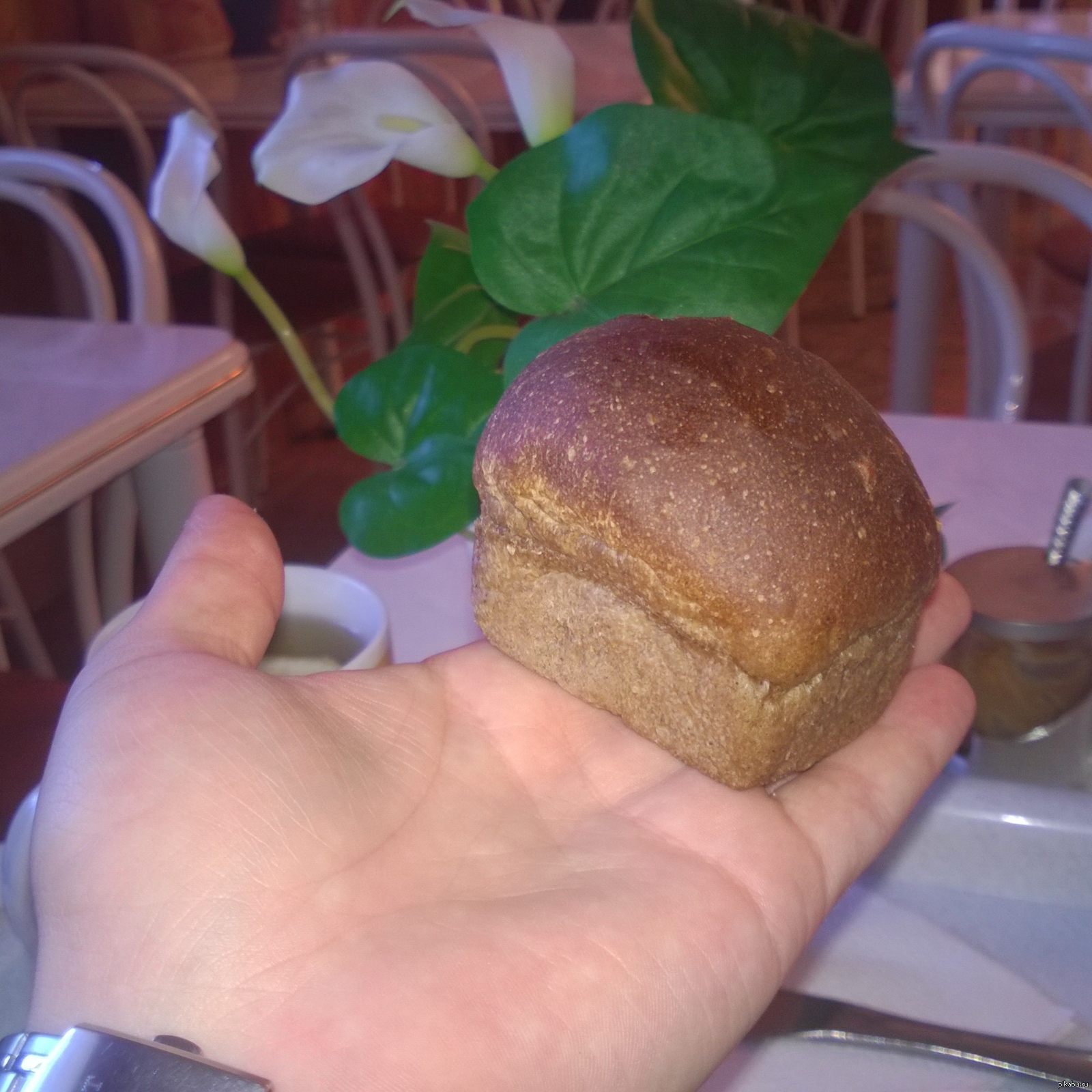 Купи две булочки. Хлеб. Маленький хлеб. Маленькие булочки хлеба. Маленькая Буханка хлеба.