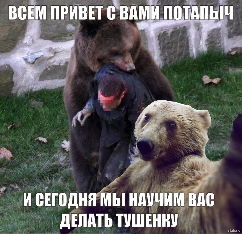 Привет глупая. Смешной медведь. Шутки про медведей смешные. Медведь смешные картинки. Медвежонок мемы.