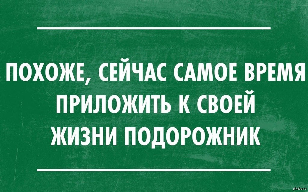 Под приложить. Шутки про подорожник. Приложи подорожник. Анекдот про подорожник. Виски с подорожником.