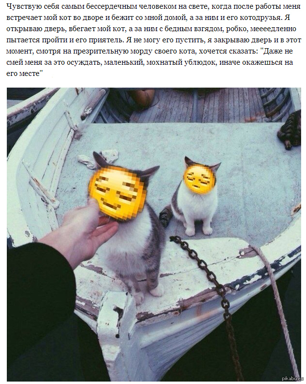 Это поганое чувство.. | Пикабу