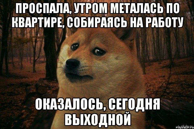 Утром собираюсь. Проспал на работу. Проспала на работу картинки. Когда проспал на работу картинки. Проспал на работу Мем.