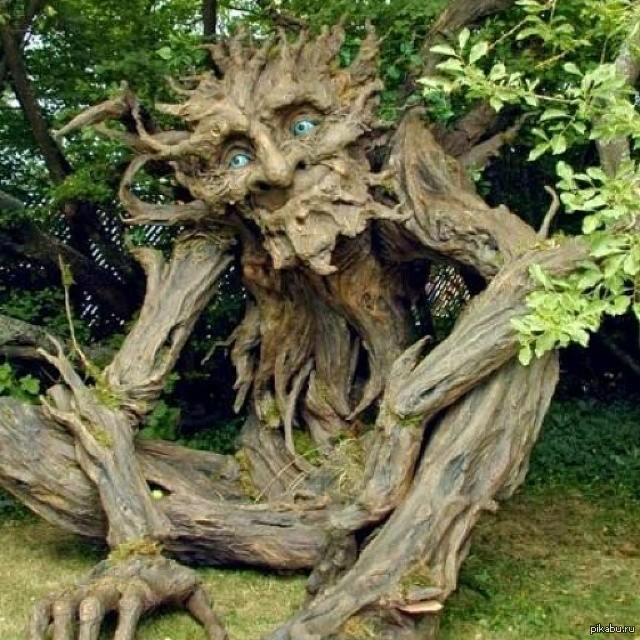 Dendroid