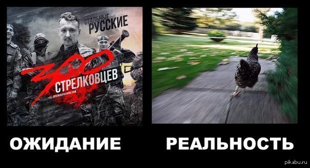 Стрелок | Пикабу