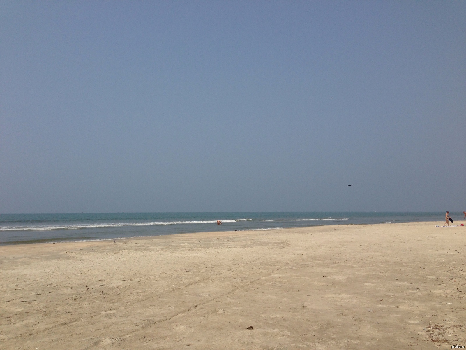 бразилия 0-5 германия | Пикабу