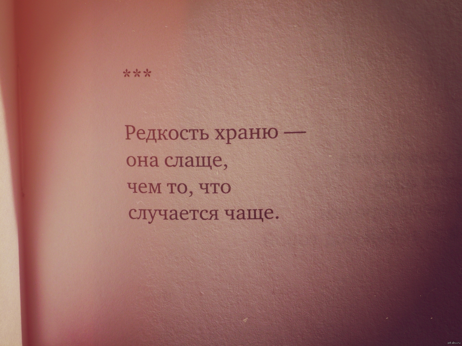 Высокая поэзия | Пикабу