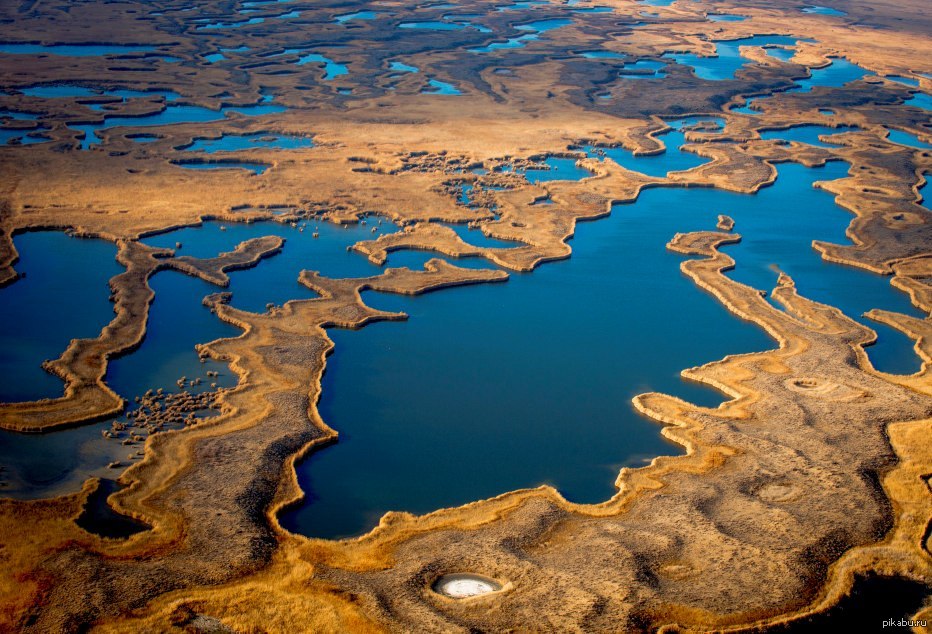 Водная система озер. Дельта реки Жайык. Дельта реки или в Казахстане. Восточно-Аральское озеро. Аральское море Казахстан.