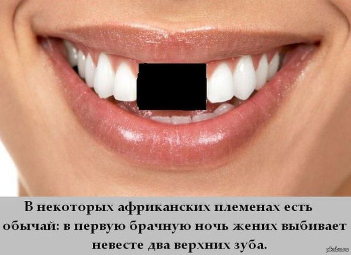 Почему факт. Интересное о зубах. Уникальные факты зубов.
