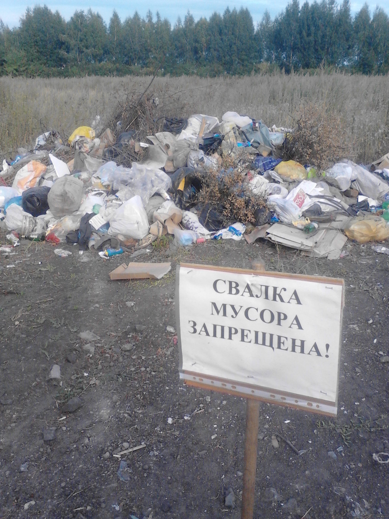 Понимающие люди | Пикабу