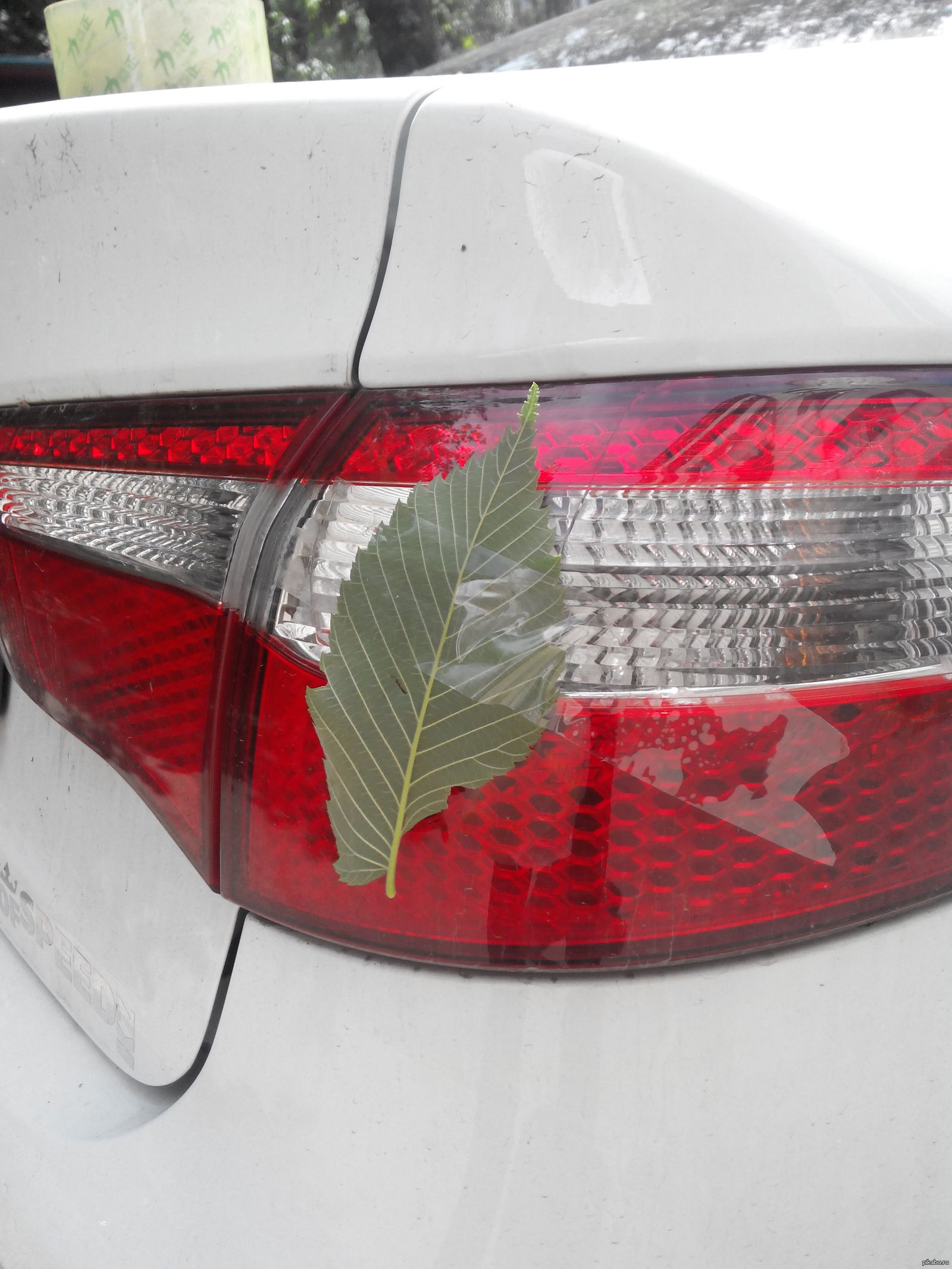 Машинка не болей или мое первое дтп. | Пикабу