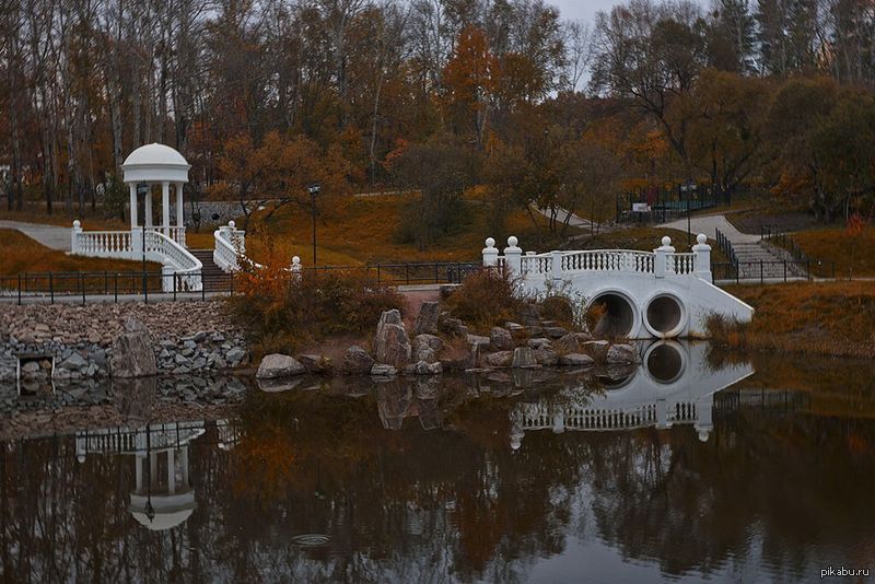 Осень В Хабаровске 2025 Фото