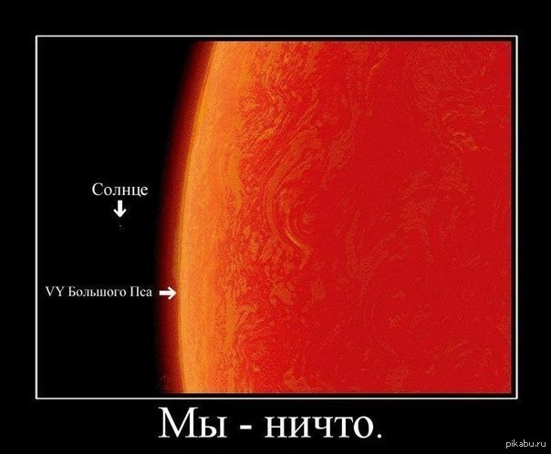 Vy большого пса. Vy canis Majoris и солнце. Vy большого пса и солнце. Звезда uy большого пса.